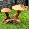 Darthome Limited Teak Root Double Wild Mushroom Sculpture -Décor Dreams Shop IMG E6036
