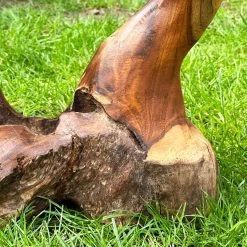 Darthome Limited Teak Root Double Wild Mushroom Sculpture -Décor Dreams Shop IMG E6040 083569a1 d220 47e0 bd52 6ac4187df834
