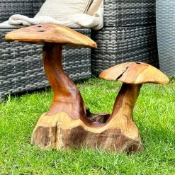 Darthome Limited Teak Root Double Wild Mushroom Sculpture -Décor Dreams Shop IMG E6044 45c8b30e 4b44 46e1 a593 a9d5f0fe04a8