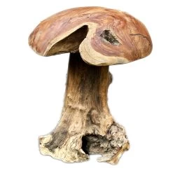 Darthome Limited Teak Root Mushroom Sculpture 35cm -Décor Dreams Shop IMG E6056copy