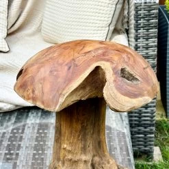 Darthome Limited Teak Root Mushroom Sculpture 35cm -Décor Dreams Shop IMG E6058 11032191 8a8c 4856 a741 1fde7278541c