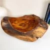 Darthome Limited Teak Root Decorative Bowl 40cm -Décor Dreams Shop IMG E6087 edited79
