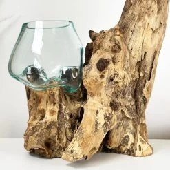 Darthome Limited Tall Double Molten 11cm Bowls Teak Root Stand -Décor Dreams Shop IMG E6116