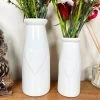 Darthome Limited Set Of 2 Heart Bottle Vases -Décor Dreams Shop IMG E6132
