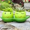 Darthome Limited Cement Two Peas In A Pod Succulent Planter -Décor Dreams Shop IMG E6293 edited2