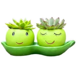 Darthome Limited Cement Two Peas In A Pod Succulent Planter -Décor Dreams Shop IMG E6293 edited2copy