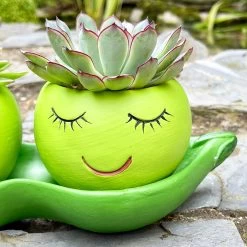 Darthome Limited Cement Two Peas In A Pod Succulent Planter -Décor Dreams Shop IMG E6295 edited4