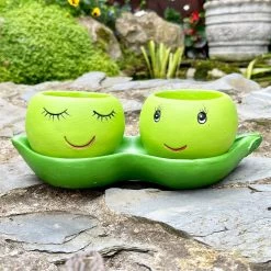 Darthome Limited Cement Two Peas In A Pod Succulent Planter -Décor Dreams Shop IMG E6298 edited6