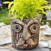 Darthome Limited Cement Tree Face Planter 1 Darthome Limited Cement Tree Face Planter -Décor Dreams Shop IMG E6322 edited27