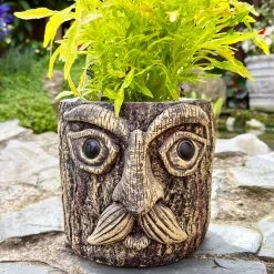 Darthome Limited Cement Tree Face Planter