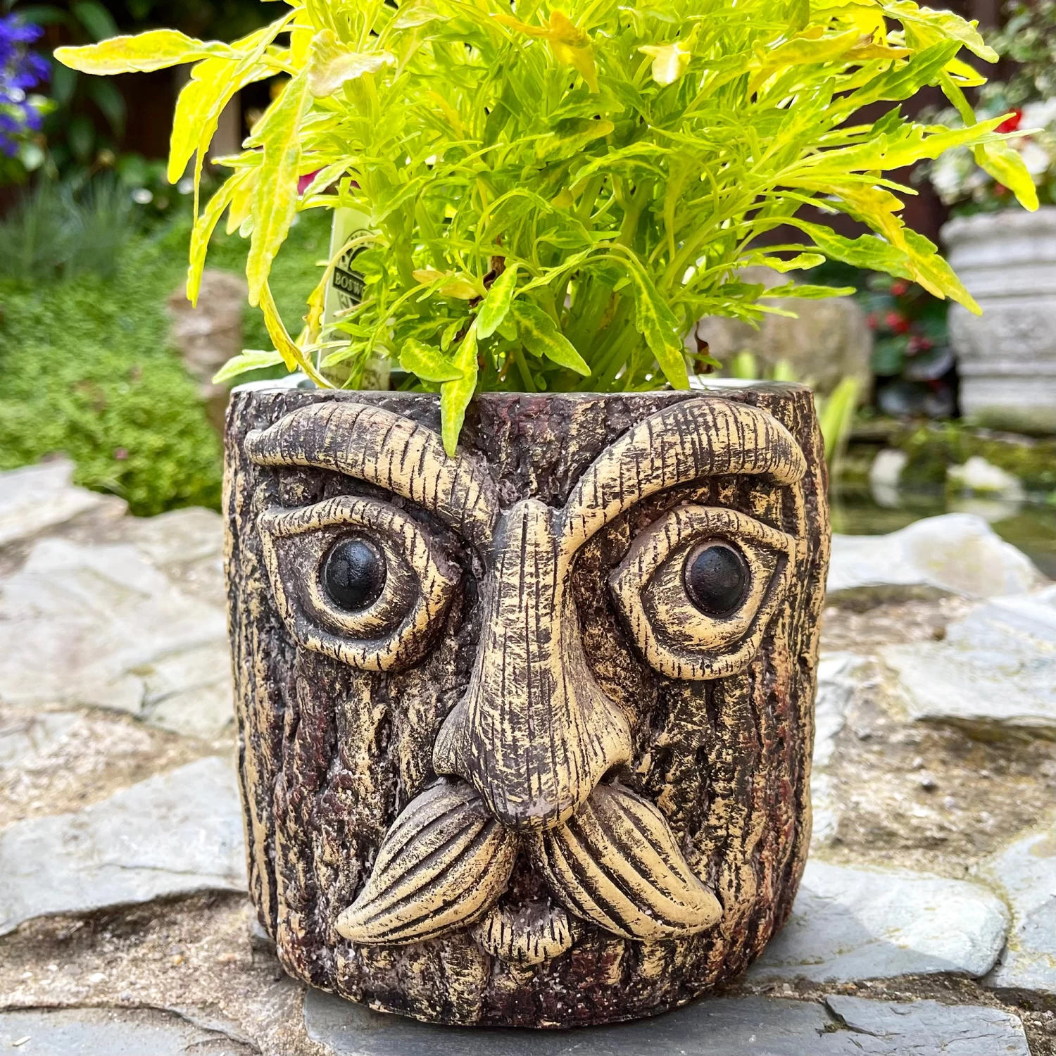 Darthome Limited Cement Tree Face Planter 3 Darthome Limited Cement Tree Face Planter