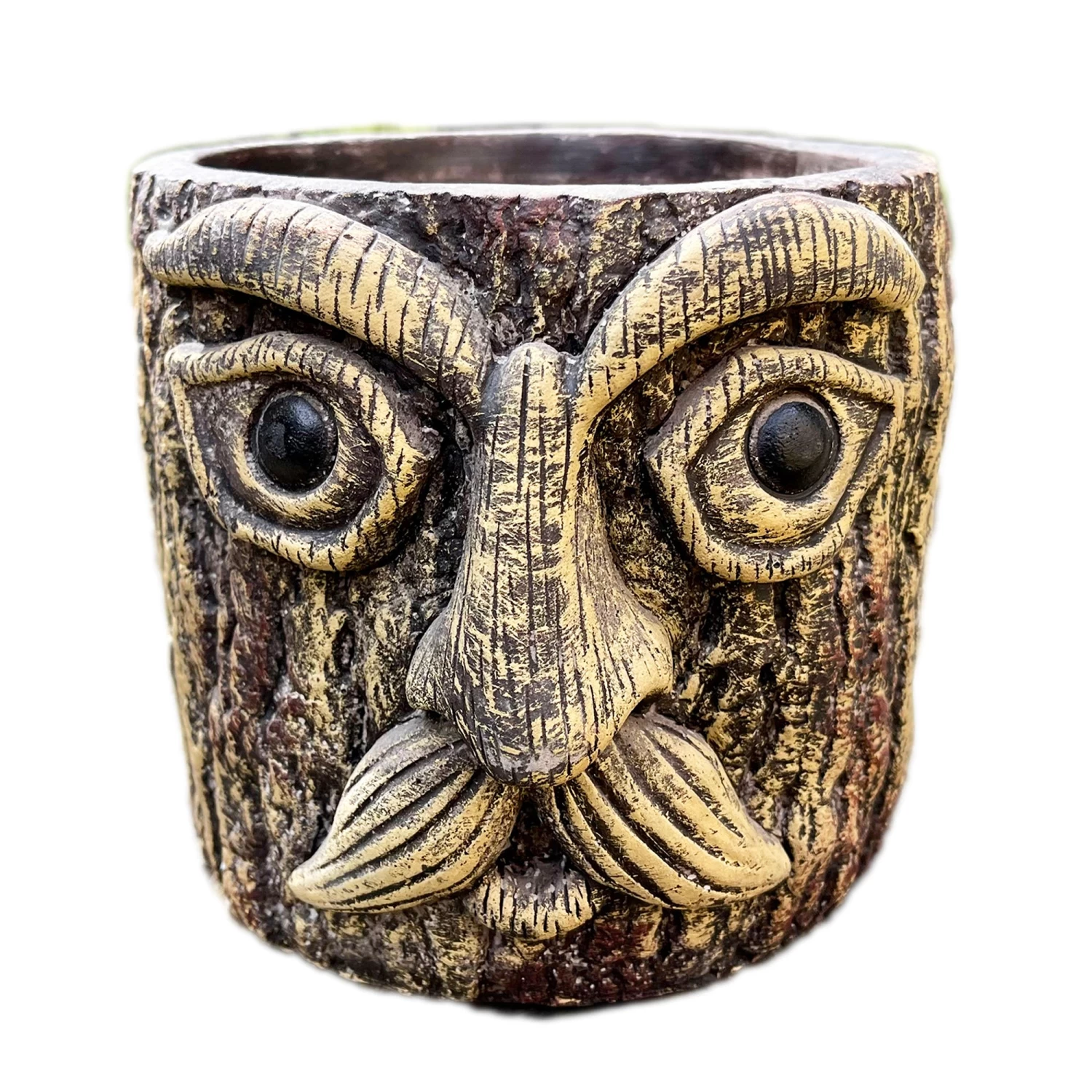 Darthome Limited Cement Tree Face Planter 8 Darthome Limited Cement Tree Face Planter - Image 6