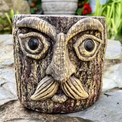 Darthome Limited Cement Tree Face Planter 10 Darthome Limited Cement Tree Face Planter -Décor Dreams Shop IMG E6326 edited31
