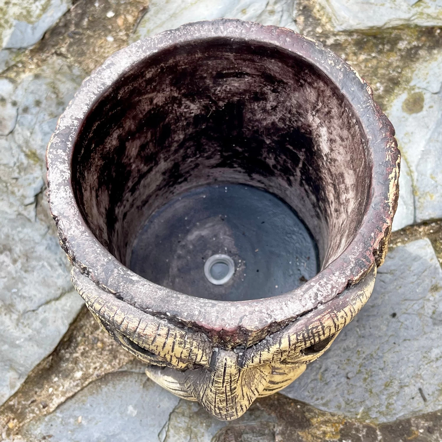 Darthome Limited Cement Tree Face Planter 6 Darthome Limited Cement Tree Face Planter - Image 4