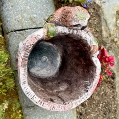 Darthome Limited Cement Sloth Planter - Birch Tree Log -Décor Dreams Shop IMG E6345 edited49