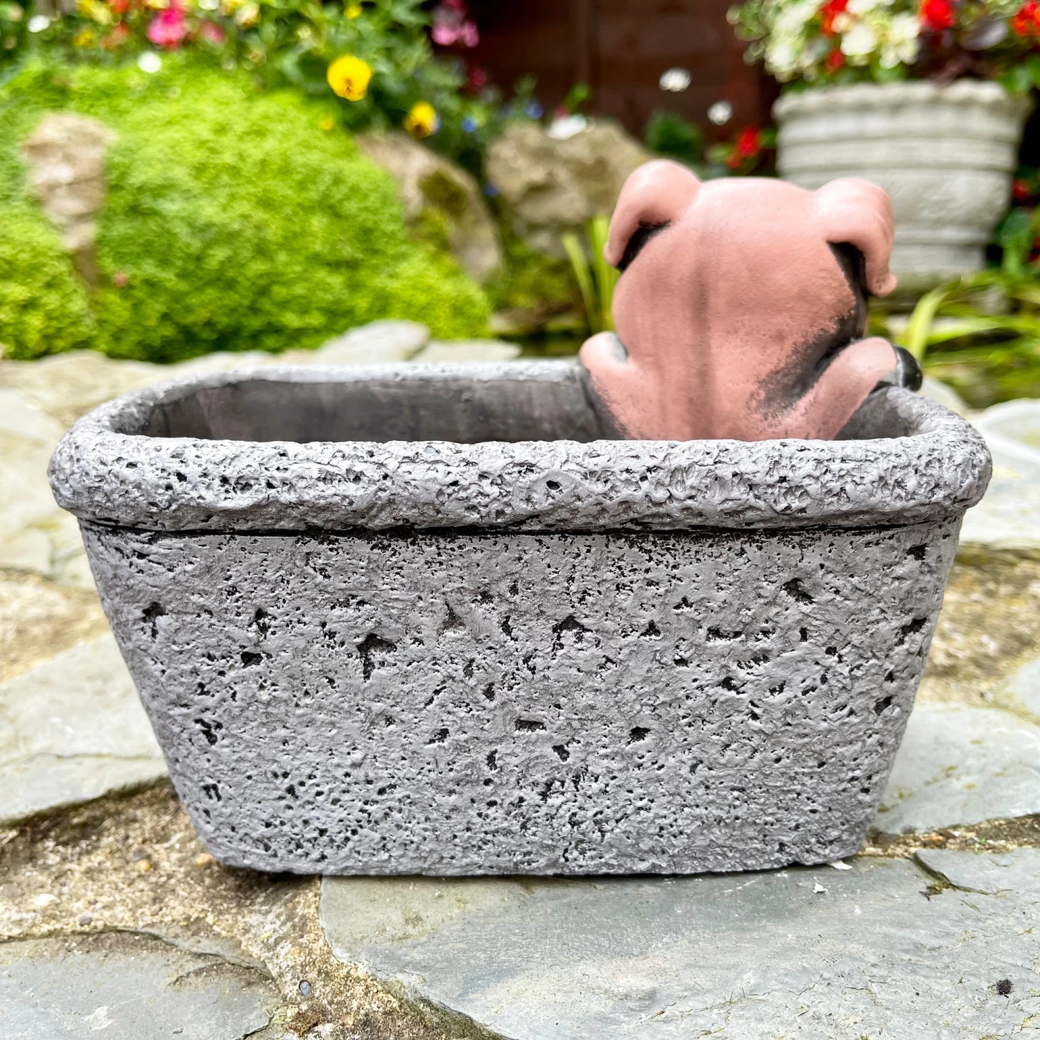 Darthome Limited Cement Pig In Trough Planter 6 Darthome Limited Cement Pig In Trough Planter - Image 4