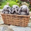 Darthome Limited Cement Three Wise Rabbits In Basket Planter 1 Darthome Limited Cement Three Wise Rabbits In Basket Planter -Décor Dreams Shop IMG E6356 edited58