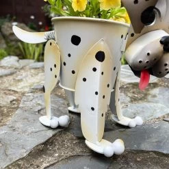 Darthome Limited Metal Wobbly Dalmation Dog Planter -Décor Dreams Shop IMG E6408 edited109
