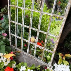 Darthome Limited Metal Arch Garden Wall Mirror -Décor Dreams Shop IMG E6486 edited175