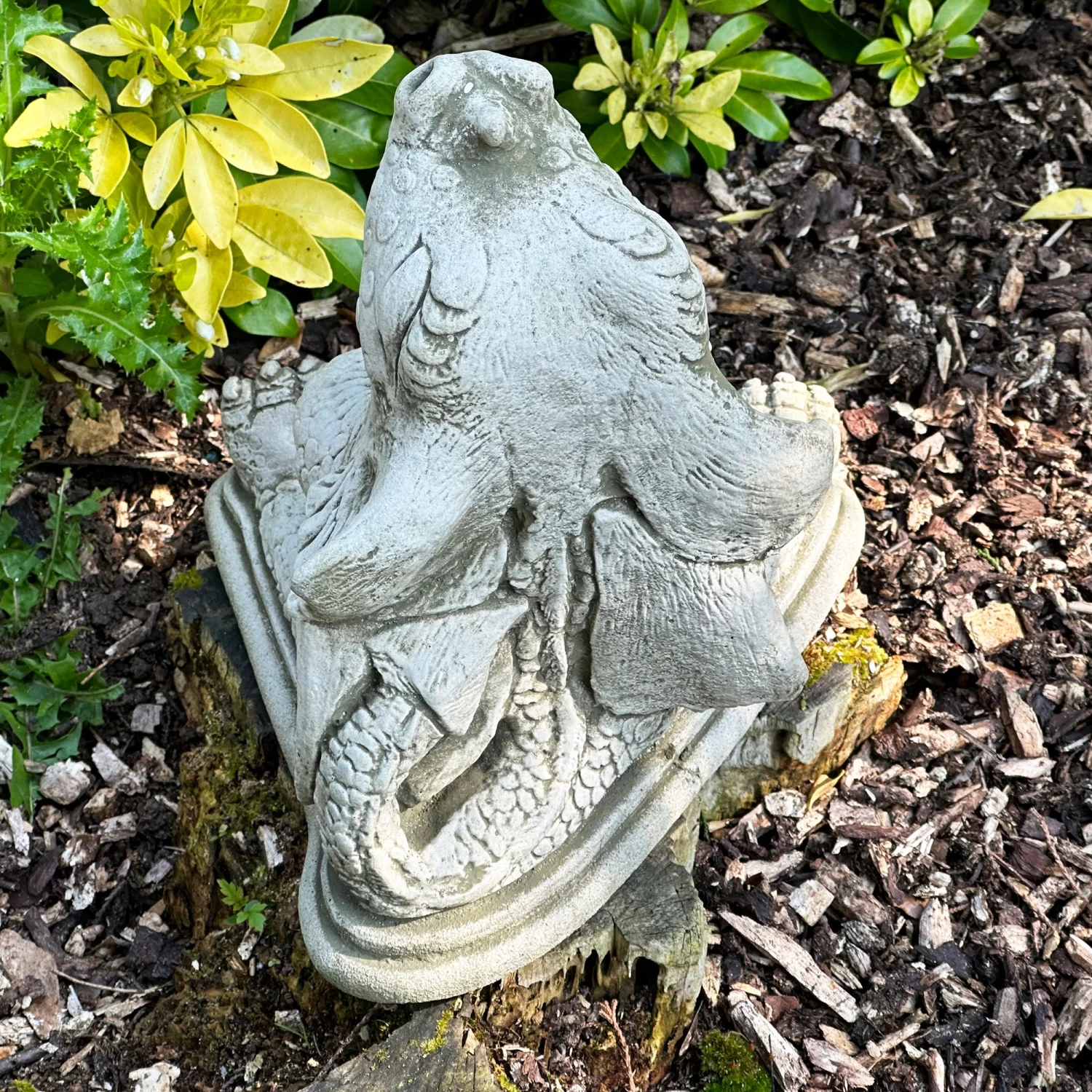 Darthome Limited Stone Naughty Dragon Garden Sculpture 6 Darthome Limited Stone Naughty Dragon Garden Sculpture - Image 4