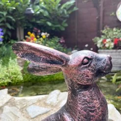 Darthome Limited Bronze Garden Alert Hare Ornament -Décor Dreams Shop IMG E6555 edited239