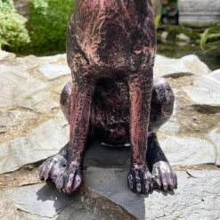 Darthome Limited Bronze Garden Alert Hare Ornament -Décor Dreams Shop IMG E6557 edited241
