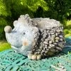 Darthome Limited Smiley Hedgehog Flower Pot -Décor Dreams Shop IMG E6617