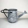Darthome Limited Galvanised Zinc Metal Embossed Daisy Watering Can Planter 41cm