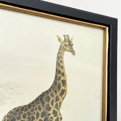 Darthome Limited Vintage Giraffe Framed Wall Art -Décor Dreams Shop IMG E7286