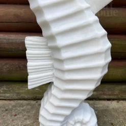 Darthome Limited White Seahorse Garden Ornament - Marble Resin -Décor Dreams Shop IMG E7307 editedBV