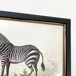 Darthome Limited Vintage Zebra Framed Wall Art -Décor Dreams Shop IMG E7308