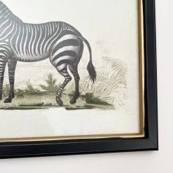 Darthome Limited Vintage Zebra Framed Wall Art -Décor Dreams Shop IMG E7309