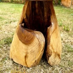 Darthome Limited Teak Root Mushroom Garden Sculpture -Décor Dreams Shop IMG E7440 editedAQ