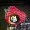Darthome Limited Rabbit In Strawberry Solar Garden Ornament 1 Darthome Limited Rabbit In Strawberry Solar Garden Ornament -Décor Dreams Shop IMG E7504 editedCW