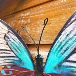 Darthome Limited Teal Butterfly Wall Art -Décor Dreams Shop IMG E7564 editedS