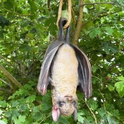 Darthome Limited Hanging Bat Garden Ornament