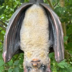 Darthome Limited Hanging Bat Garden Ornament -Décor Dreams Shop IMG E7617 editedBK