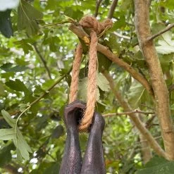 Darthome Limited Hanging Bat Garden Ornament -Décor Dreams Shop IMG E7618 editedBL