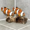 Darthome Limited Clownfish On Driftwood Coral Sculpture -Décor Dreams Shop IMG E7921