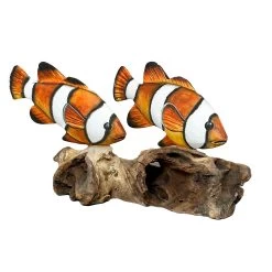 Darthome Limited Clownfish On Driftwood Coral Sculpture -Décor Dreams Shop IMG E7921copy