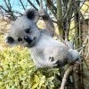 Darthome Limited Hanging Grey Koala Ornament -Décor Dreams Shop IMG E7982
