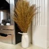 Darthome Limited Gold Dried Pampas In Ceramic Vase -Décor Dreams Shop IMG E8040 editedFU