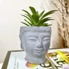Darthome Limited Cement Buddha Head Succulent -Décor Dreams Shop IMG E8520 edited44