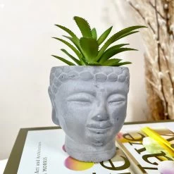 Darthome Limited Cement Buddha Head Succulent