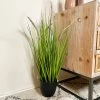 Darthome Limited Foxtail Grass Artificial Plant 70cm -Décor Dreams Shop IMG E8712 edited111