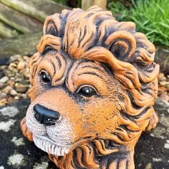 Darthome Limited Cement Lion Planter -Décor Dreams Shop IMG E9287