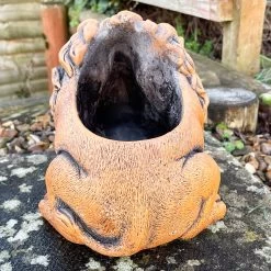 Darthome Limited Cement Lion Planter -Décor Dreams Shop IMG E9291