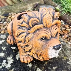 Darthome Limited Cement Lion Planter -Décor Dreams Shop IMG E9295