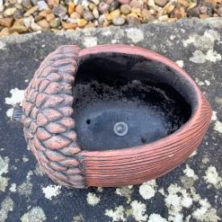 Darthome Limited Cement Acorn Planter -Décor Dreams Shop IMG E9313