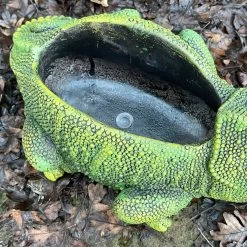 Darthome Limited Cement Green Chameleon Planter -Décor Dreams Shop IMG E9353